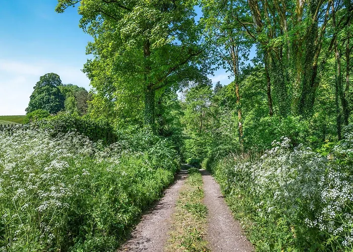 Mill Barn Holiday home